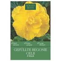 Kölles Beste Blumenknollen, Gefüllte Begonie 'Gelb'