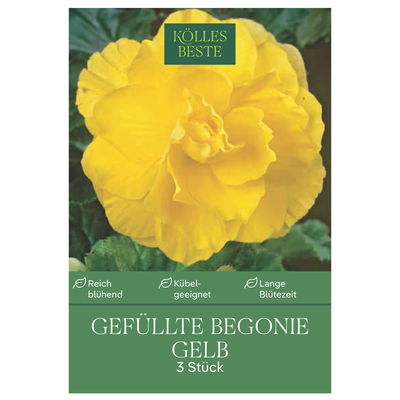 Kölles Beste Blumenknollen, Gefüllte Begonie 'Gelb'