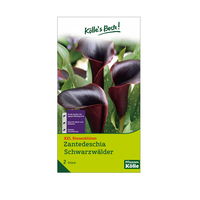 Calla Schwarzwälder schwarz, 2 Blumenzwiebeln