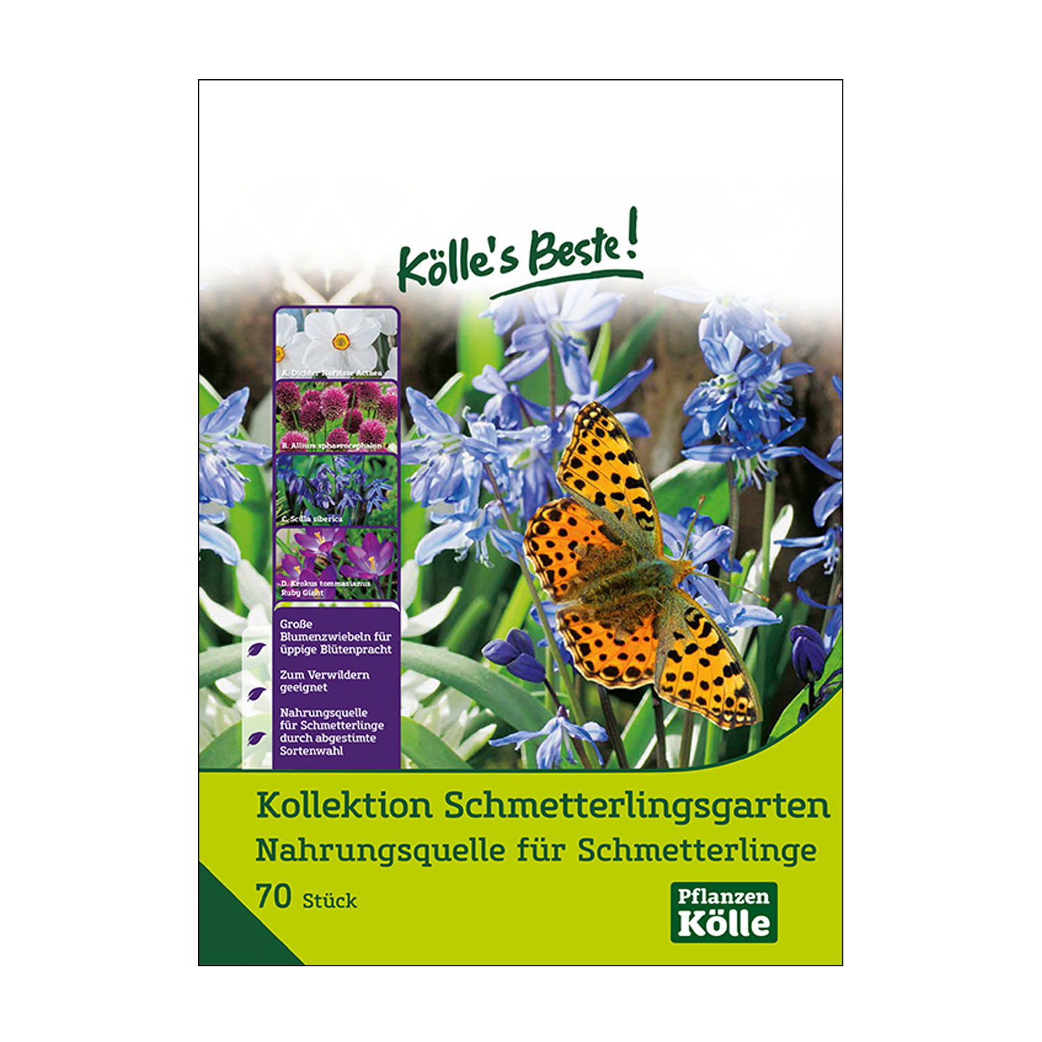 Schmetterlingsgarten-Kollektion, 70 Blumenzwiebeln