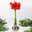 Amaryllis in Wachs, Dekor 'Forest & Nikolaus', handbemalt, Blüte rot