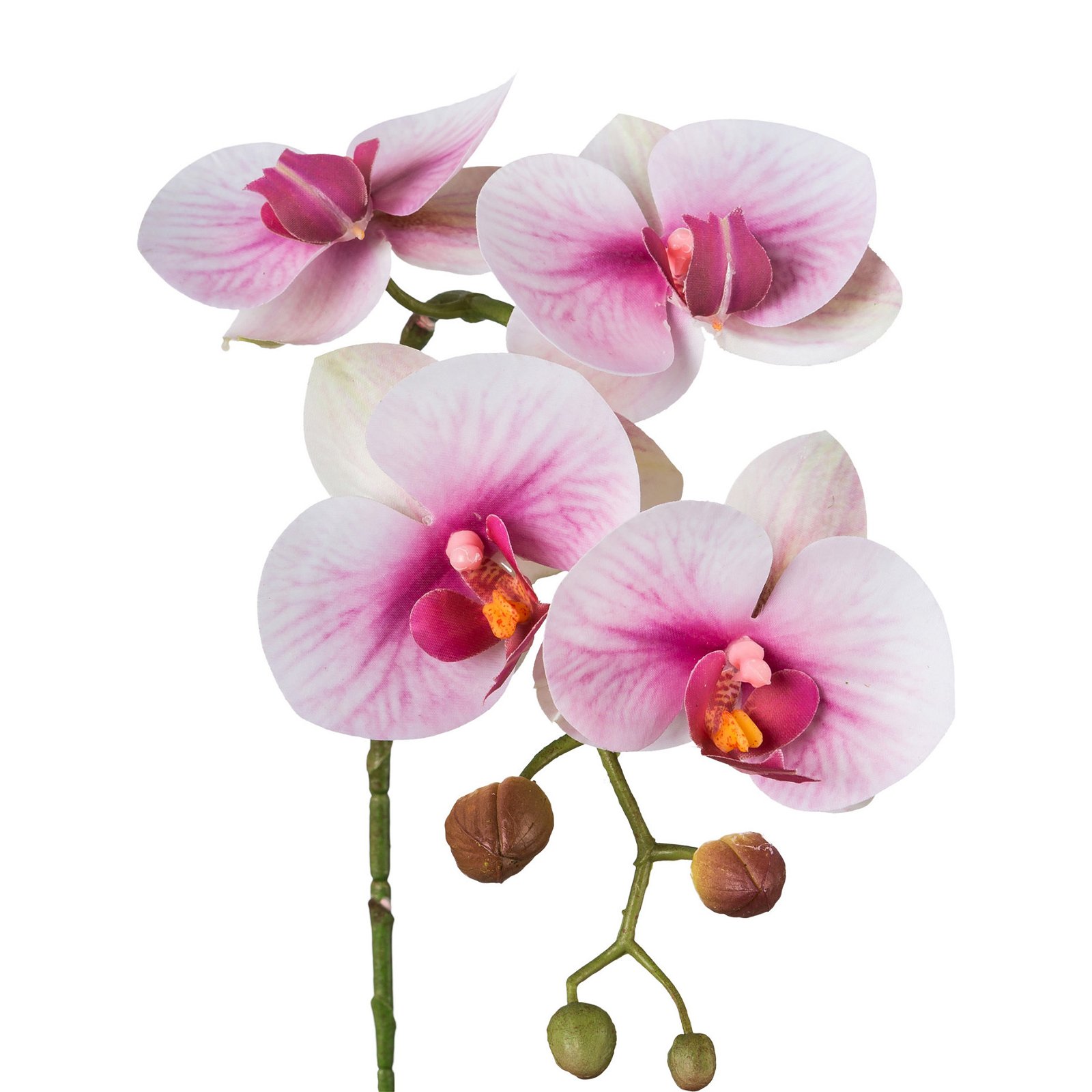 Kunstpflanze Phalaenopsis 'Real Touch', 4 Blüten, weiß-lila, Höhe ca. 42cm