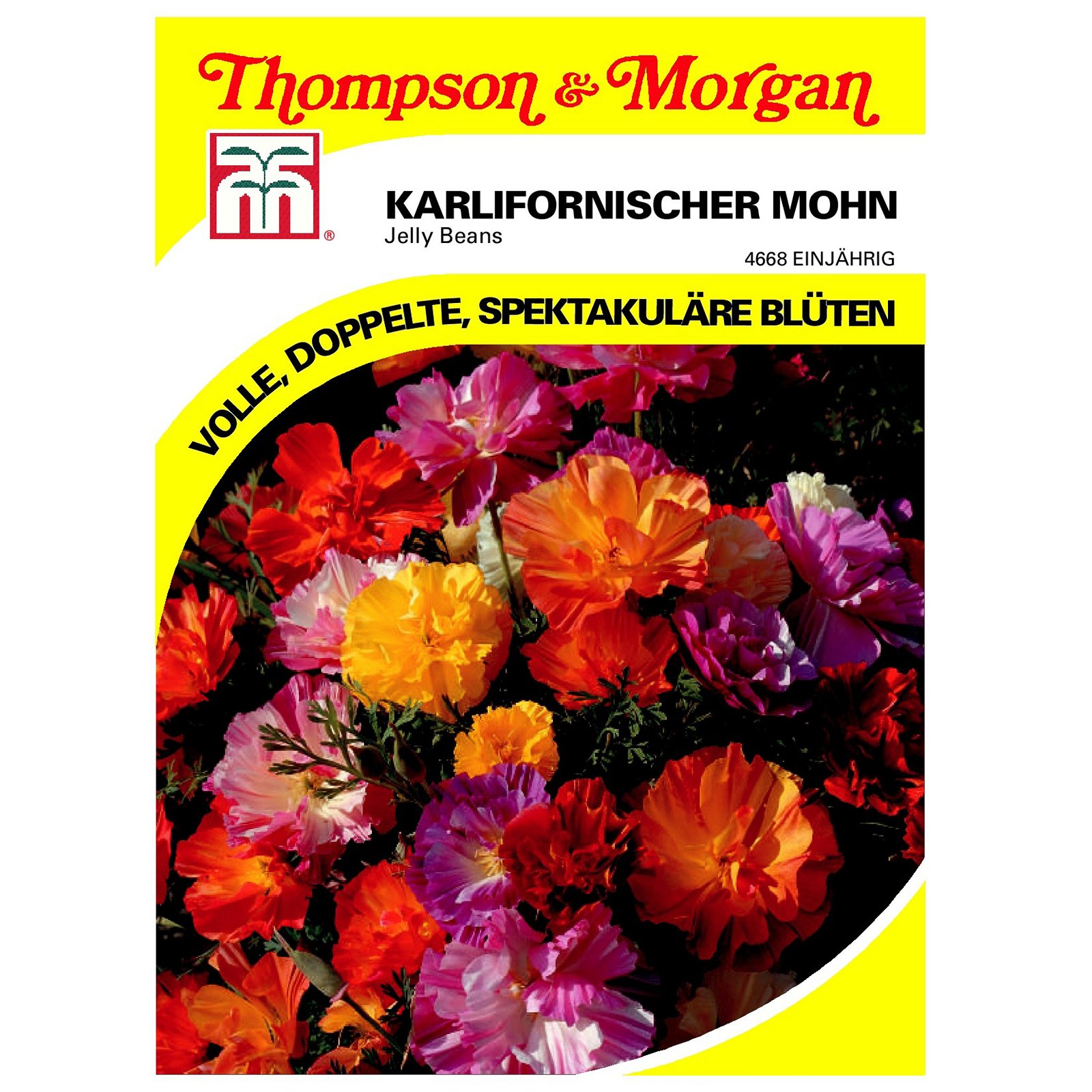 Thompson & Morgan Kalifornischer Mohn 'Jelly Beans'