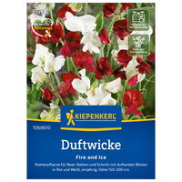 Blumensamen, Duftwicke 'Fire and Ice', weiß & rot
