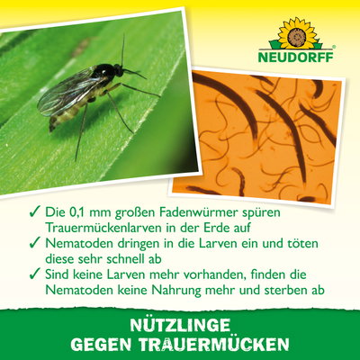 Neudorff Bestell-Set Nützlinge gegen Trauermücken, 5 Mio Stück Neudorff Bestell-Set Nützlinge gegen Trauermücken, 5 Mio Stück
