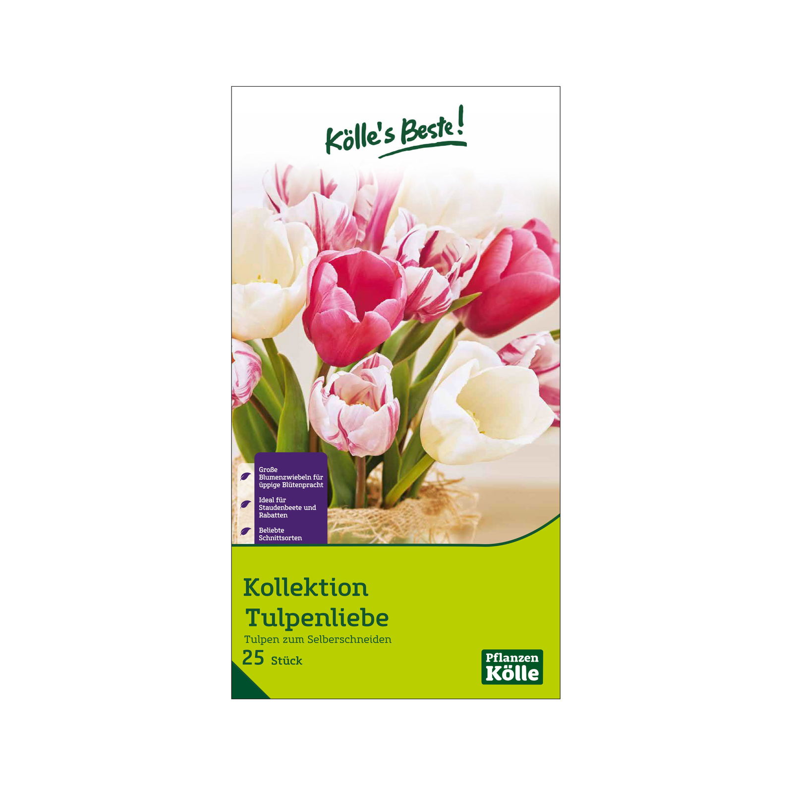 Tulpen 'Blumengrüße - Tulpenliebe', weiß, rosa, Größe 12+, 25 Blumenzwiebeln