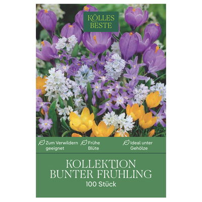 Bunte Frühlingsmischung, 100 Blumenzwiebeln
