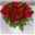 Blumenbund mit Rosen, 40er-Bund, rot, inkl. gratis Grußkarte