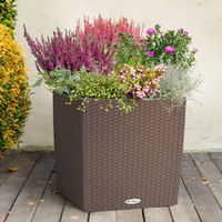 Pflanzenkreation Herbstspaziergang pink-silber, 6 Pflanzen inkl. Erde