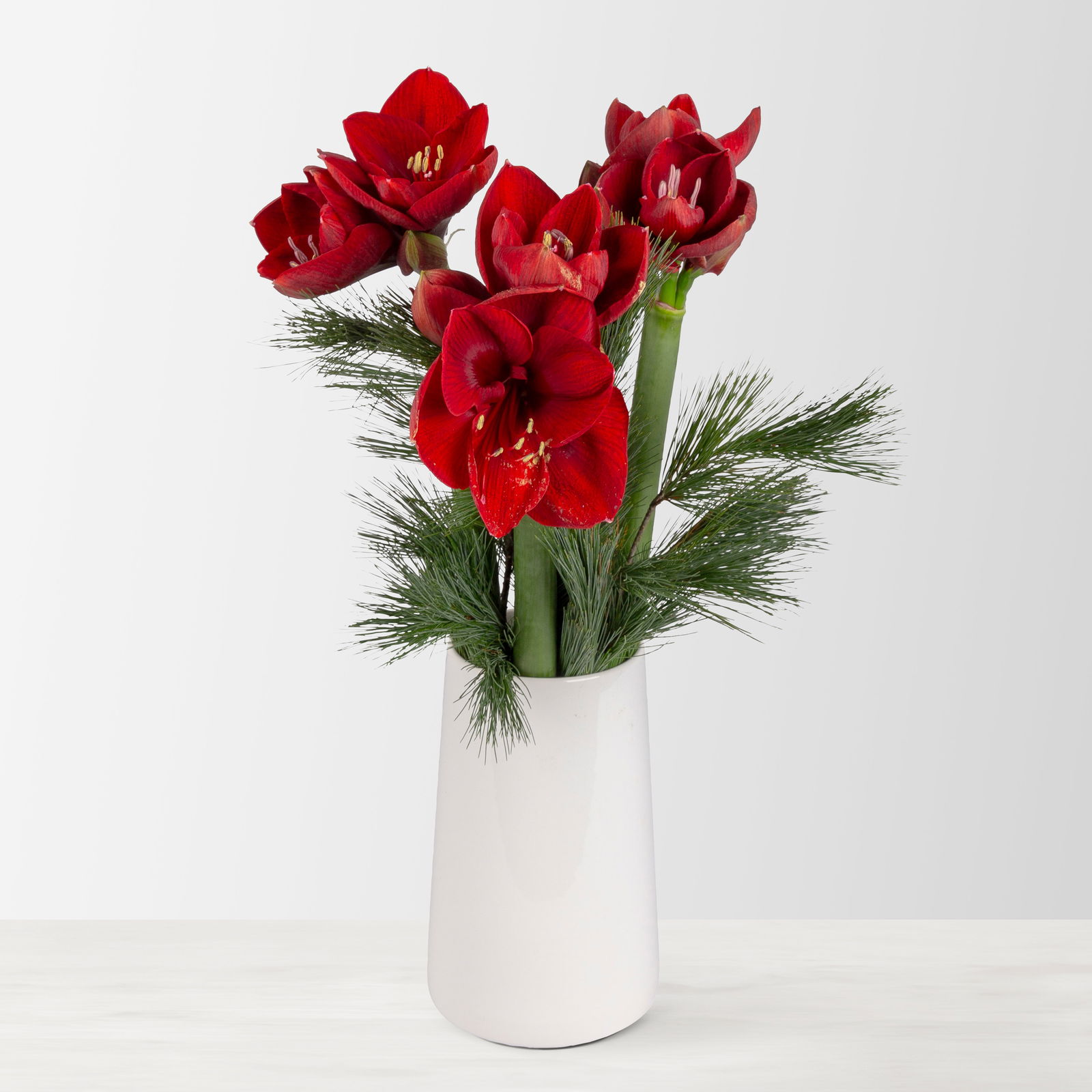 Schnittblumen-Mix aus 3 weihnachtsroten Amaryllis & 3 Seidenkiefer