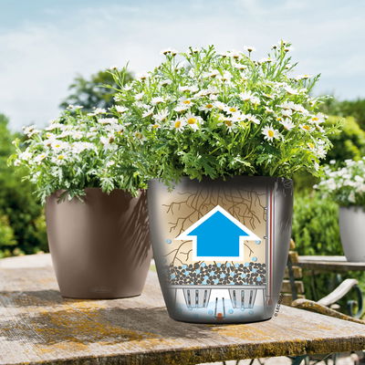 Lechuza 'Classico Color 21', muskat, ca. Ø 21,5 x H 20,5 cm Lechuza 'Classico Color 21', muskat, ca. Ø 21,5 x H 20,5 cm