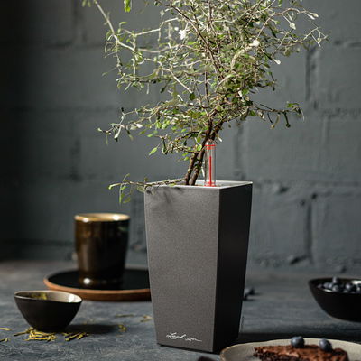 Lechuza 'Mini-Cubi', anthrazit, ca. 9,5 x 9,5 x H 18,5 cm