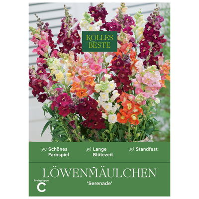 Kölles Beste Blumensamen, Löwenmäulchen 'Serenade' Kölles Beste Blumensamen, Löwenmäulchen 'Serenade'