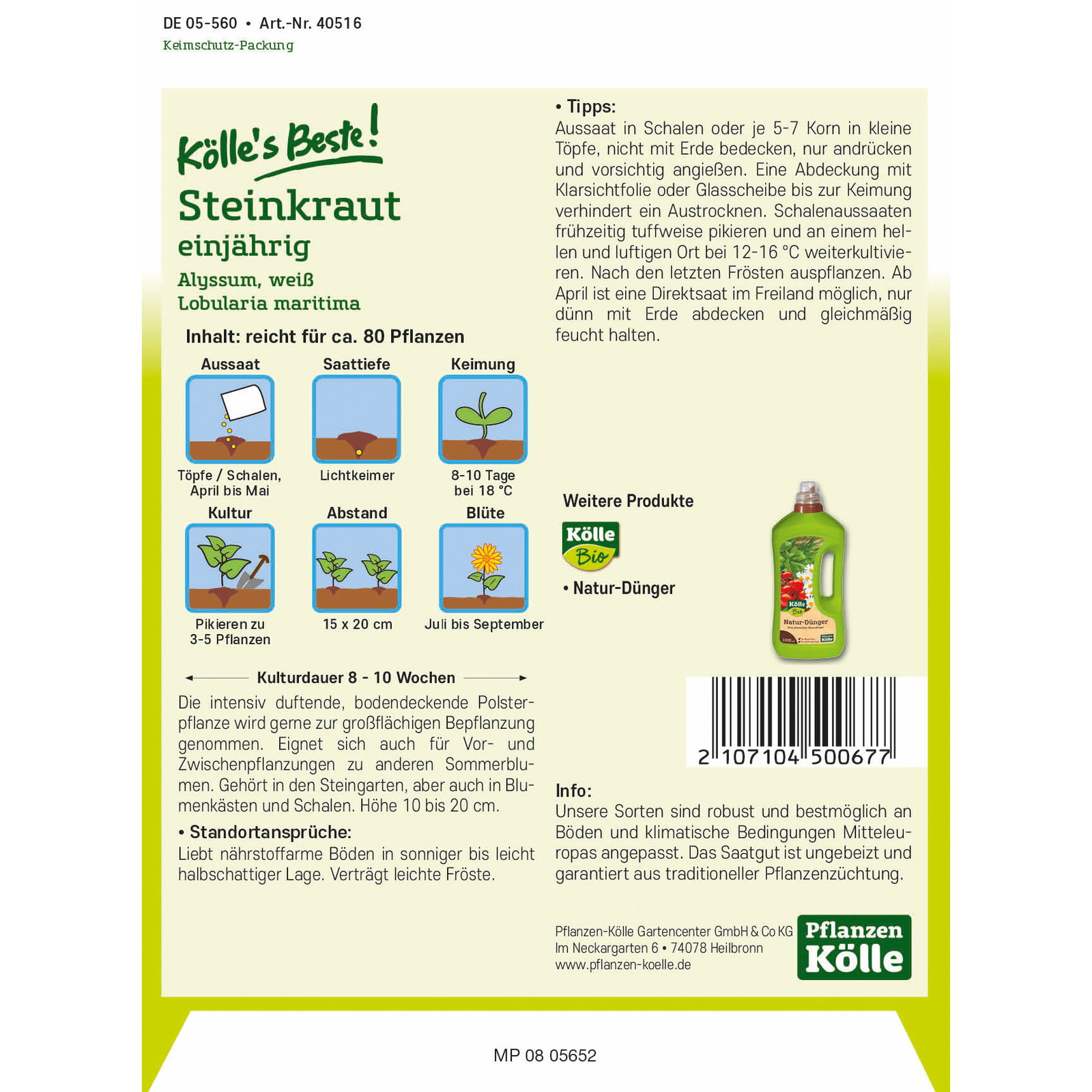 Kölle's Beste Blumensamen Steinkraut (Alyssum), weiß