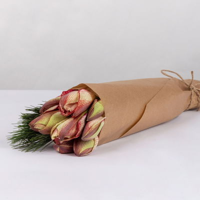 Amaryllis 'Showmaster' rot-weiss und Seidenkiefer, inkl. gratis Grußkarte Amaryllis 'Showmaster' rot-weiss und Seidenkiefer, inkl. gratis Grußkarte