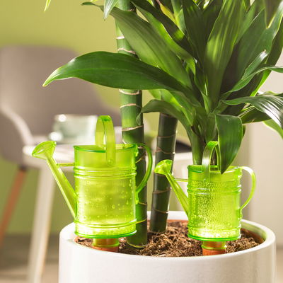 Scheurich Wasserspeicher 'Nelly', grün, 240 ml Scheurich Wasserspeicher 'Nelly', grün, 240 ml