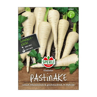 Gemüsesamen, Pastinake 'Gladiator' Gemüsesamen, Pastinake 'Gladiator'