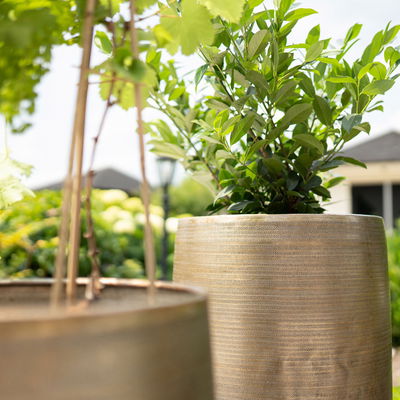 Kölle Pflanzgefäß 'Rowen', gold, ca. Ø 47 x H 82 cm