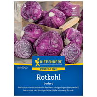 Kiepenkerl Saatgut Rotkohl 'Lodero®', rot