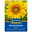 Blumensamen, Sonnenblume 'Snack', gelb