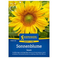 Blumensamen, Sonnenblume 'Snack', gelb