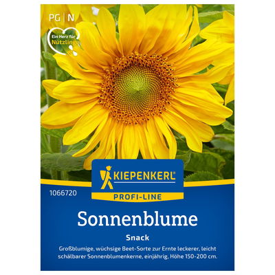 Blumensamen, Sonnenblume 'Snack', gelb Blumensamen, Sonnenblume 'Snack', gelb
