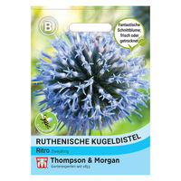 Thompson & Morgan Blumensamen Ruthenische Kugeldistel