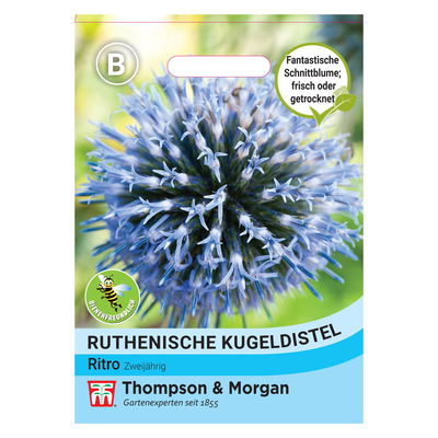 Thompson & Morgan Blumensamen Ruthenische Kugeldistel Thompson & Morgan Blumensamen Ruthenische Kugeldistel
