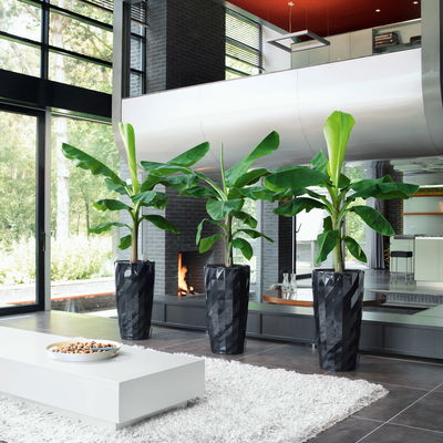 Lechuza 'Diamante Premium 40', schwarz, ca. Ø 40 x H 75 cm