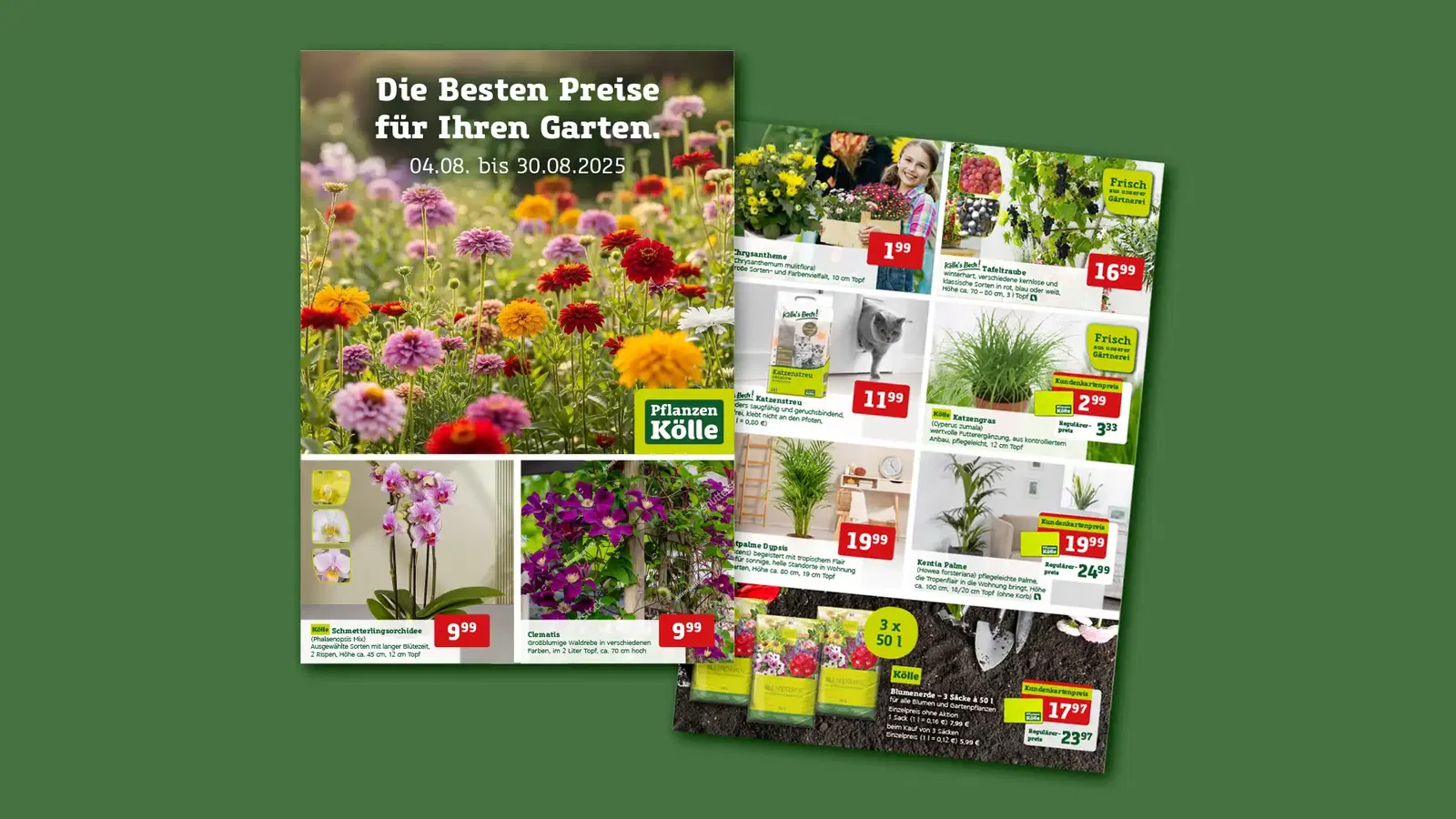 Online-Prospekt