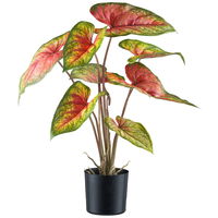 Kunstpflanze Caladium 'Red Flash' im Topf, Höhe ca. 55 cm