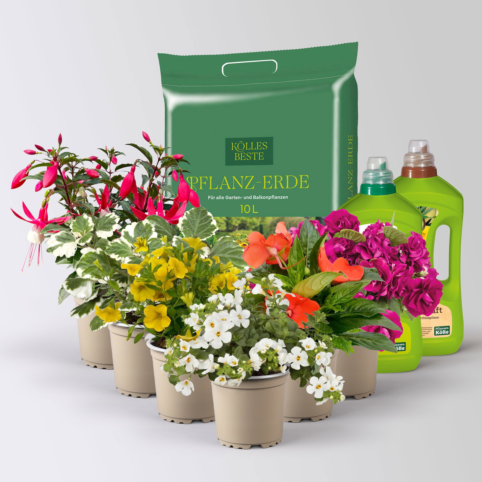 Pflanzenkreation Schatten-Leuchten, bunt, 6 Pflanzen inkl. Erde und Dünger