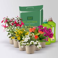 Pflanzenkreation Schatten-Leuchten, bunt, 6 Pflanzen inkl. Erde und Dünger