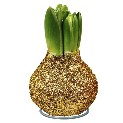 Hyazinthe in Wachs Glitter Metallic Mix, Farben zufällig, 4 Stück