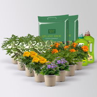 Pflanzenkreation 'No Mosquito', 12 Pflanzen inkl. Erde und Dünger