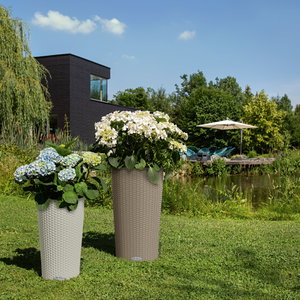 Pot De Fleurs Lechuza Cilindro Cottage 32 - Brun Sable, Système D'arrosage Intégré - Pour Intérieur/extérieur