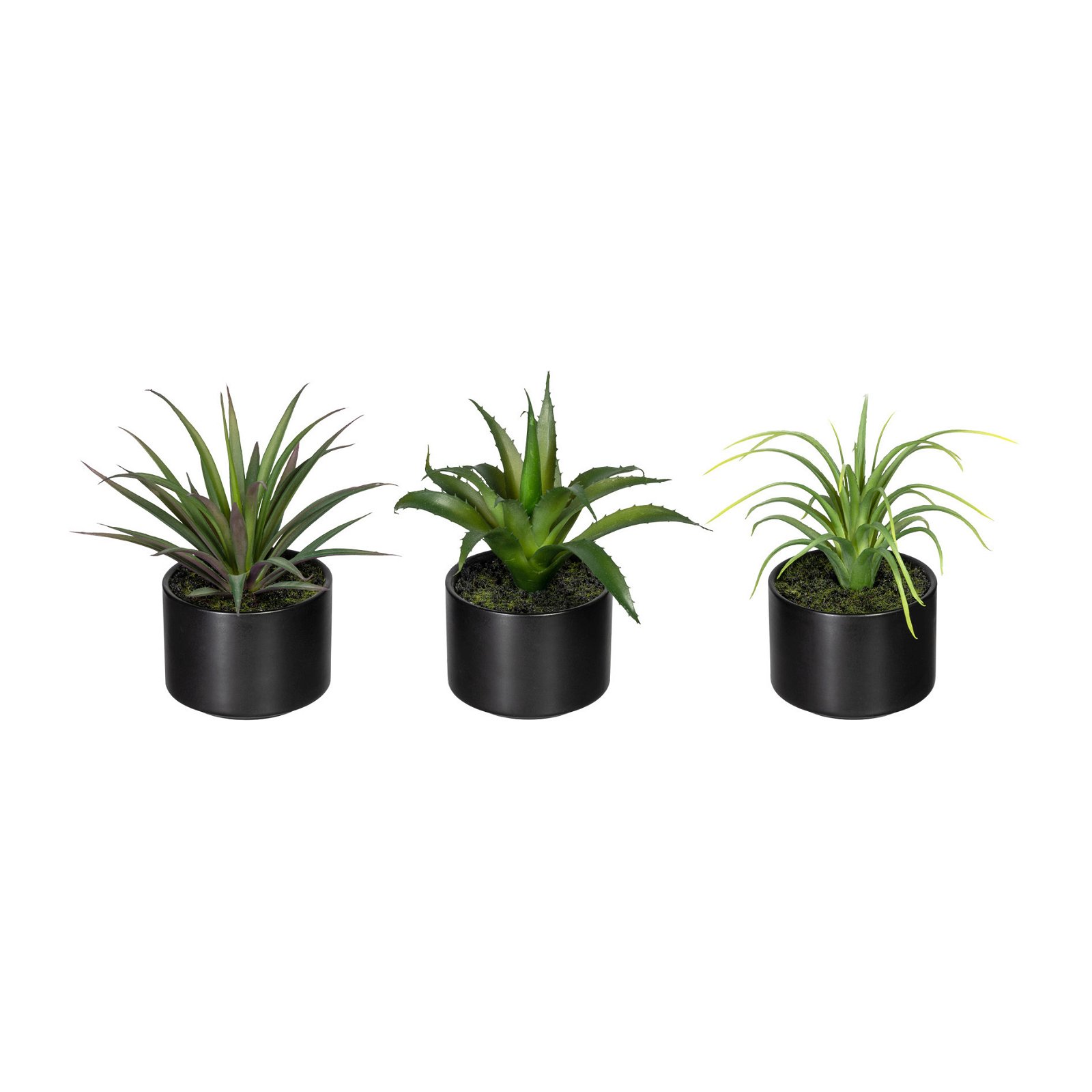Kunstpflanzen 3er-Set Aloe vera, Agave & Tillandsie, Topf-Ø 7,5 cm, Höhe ca.15cm