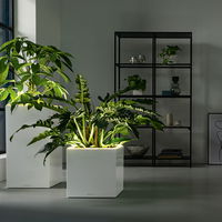 Lechuza 'Canto Premium 40 LED low', weiß, 40 x 40 x H 40 cm