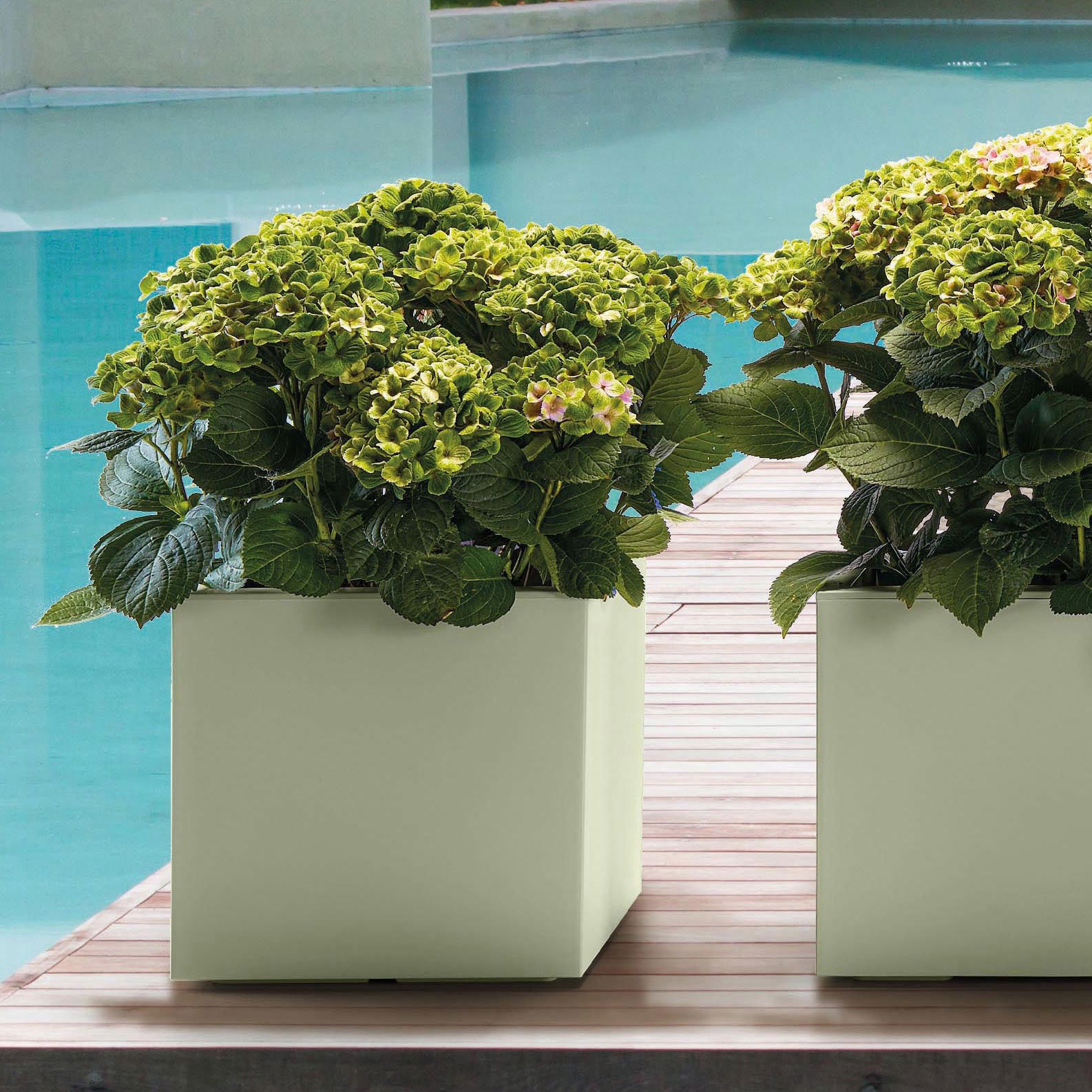 Euro 3 Plast Pflanztrog 'Kebe', grün, ca. 39,5 x 39,5 x H 39,5 cm Euro 3 Plast Pflanztrog 'Kebe', grün, ca. 39,5 x 39,5 x H 39,5 cm