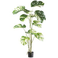 Kunstpflanze Monstera deliciosa variegata im Topf, Höhe ca. 160 cm