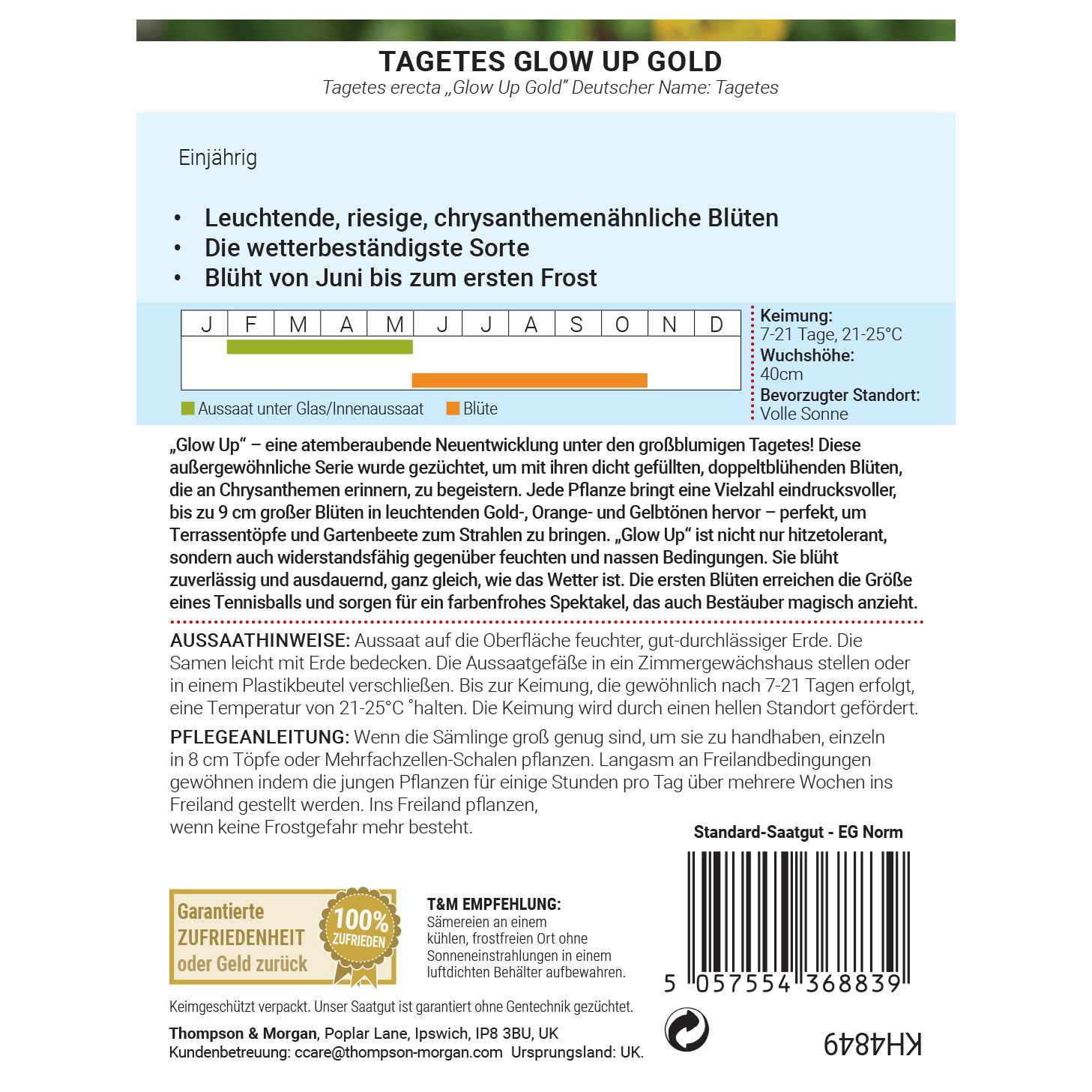 Thompson & Morgan Saatgut Studentenblume 'Glow Up Gold', orange