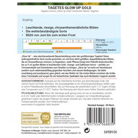 Thompson & Morgan Saatgut Studentenblume 'Glow Up Gold', orange