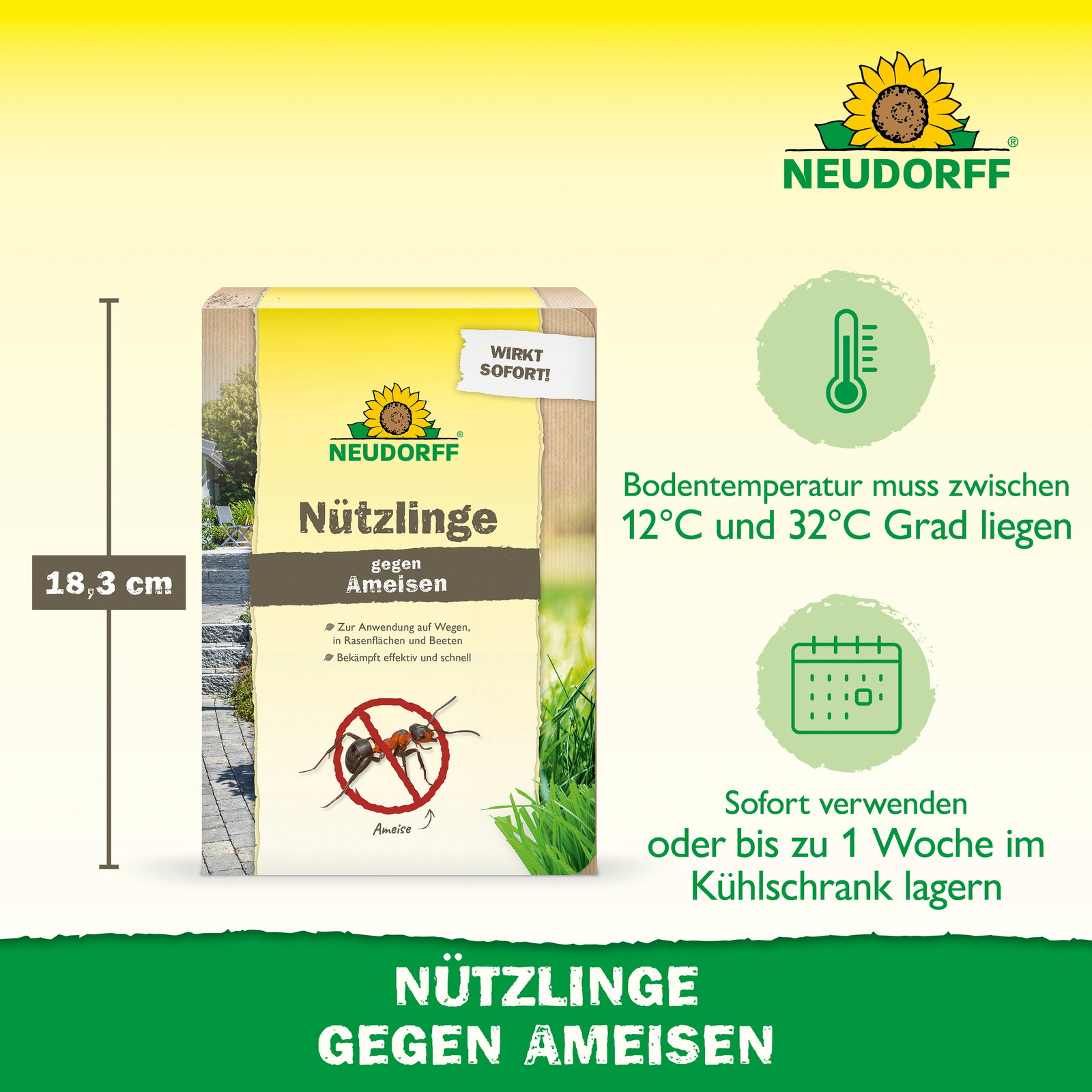 Neudorff Bestell-Set Nützlinge gegen Ameisen, 10 Mio Stück Neudorff Bestell-Set Nützlinge gegen Ameisen, 10 Mio Stück