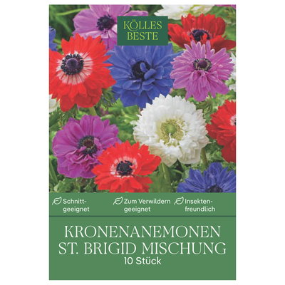 Kölles Beste Kronenanemonen St. Brigid Mischung, 10 Blumenzwiebeln