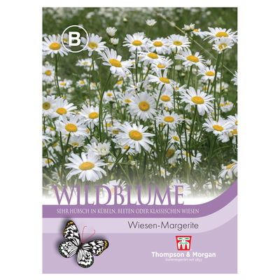 Wildblumensamen Wiesen-Margerite Wildblumensamen Wiesen-Margerite