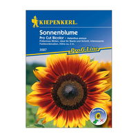 Blumensamen, Sonnenblume 'Pro Cut Bicolor', gelb