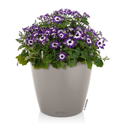 Lechuza 'Classico Color 18', sandbraun, ca. Ø 19 x H 17 cm Lechuza 'Classico Color 18', sandbraun, ca. Ø 19 x H 17 cm