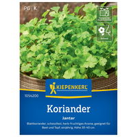 Saatgut Koriander 'Jantar'