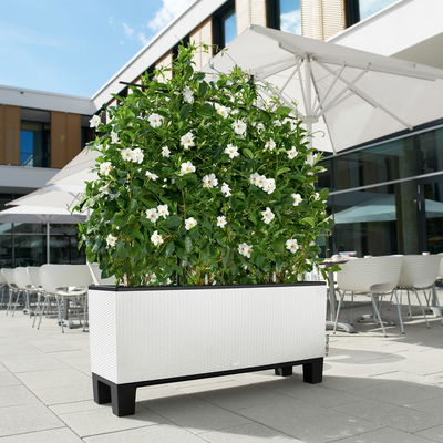 Lechuza Sockel für Trio 40, schwarz, ca. 126 x 38 x H 15 cm Lechuza Sockel für Trio 40, schwarz, ca. 126 x 38 x H 15 cm