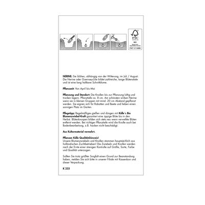 Guernsey-Lilie 'Nerine bowdenii' rosa, 5 Blumenzwiebeln Guernsey-Lilie 'Nerine bowdenii' rosa, 5 Blumenzwiebeln